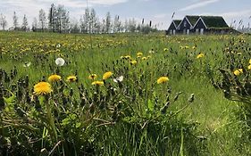 Efri-Vik Bungalows